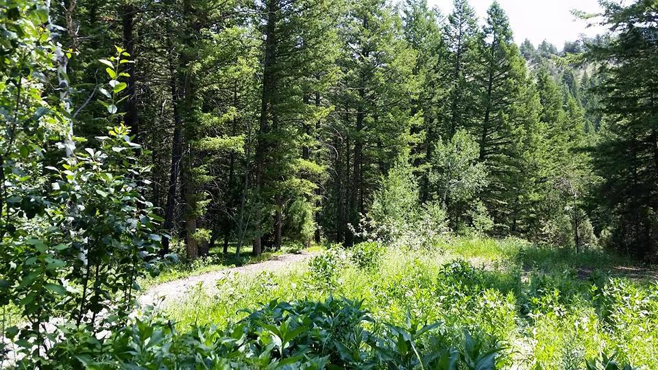 For Sale By Owner- 19 ACRES in Lava Hot Springs, ID