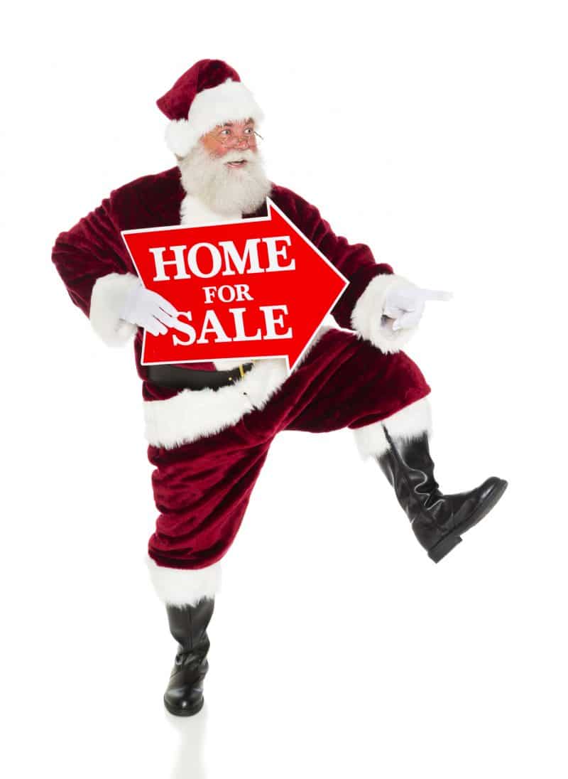 For Sale Santa