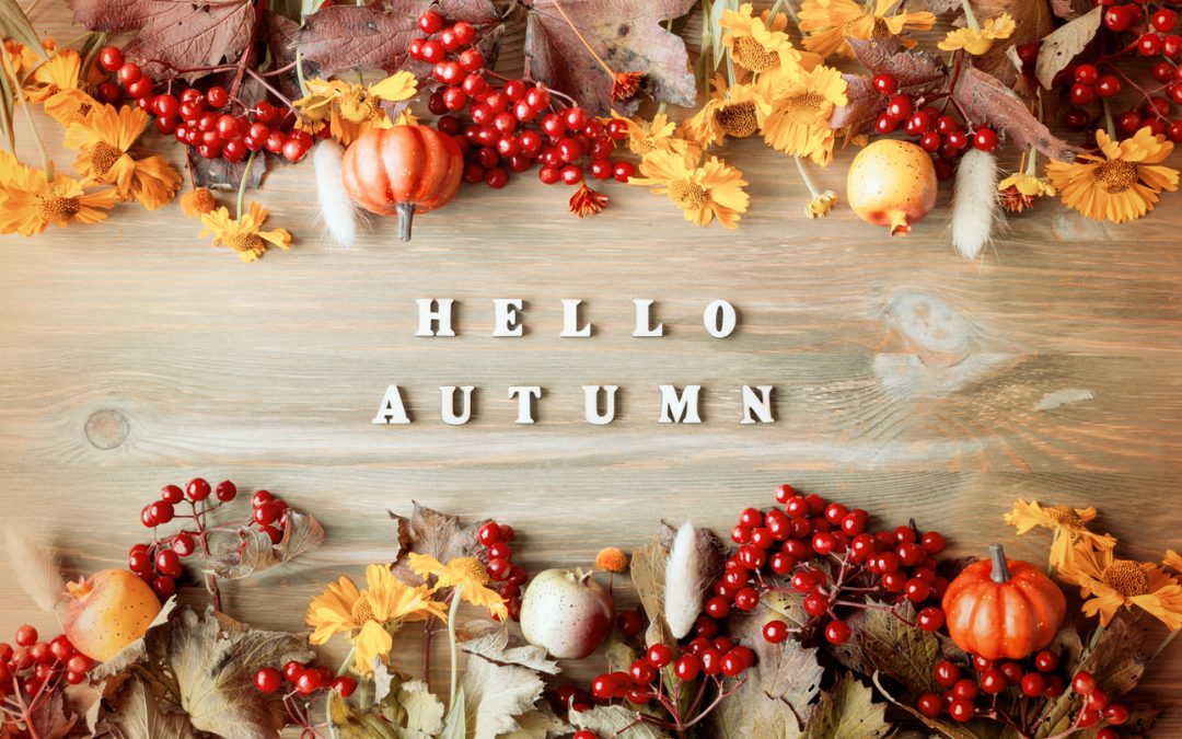 “Hello Autumn” 4 Open Houses, Friday & Saturday