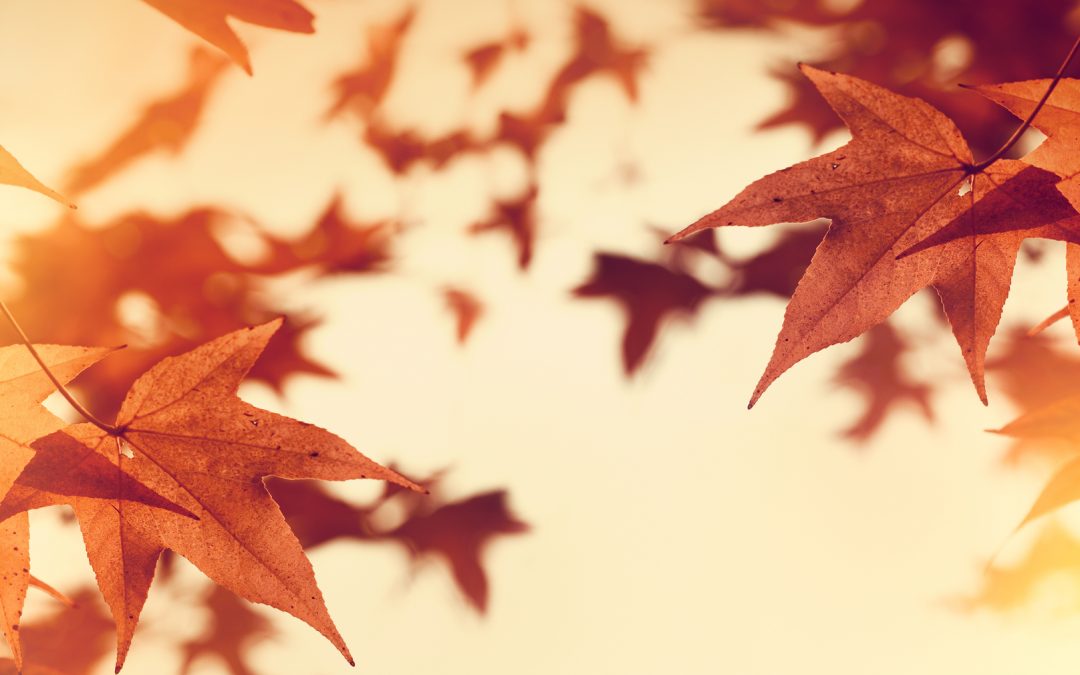 Saturday, September 8th, Luxury Open Houses