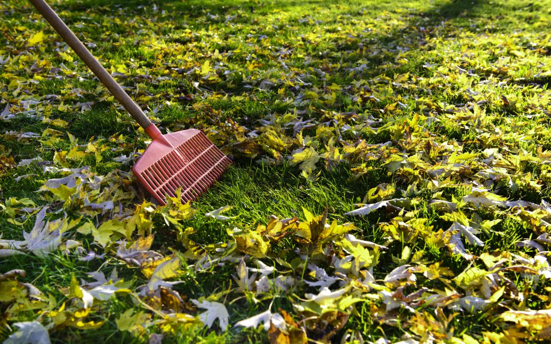 Time For Fall Property Maintenance