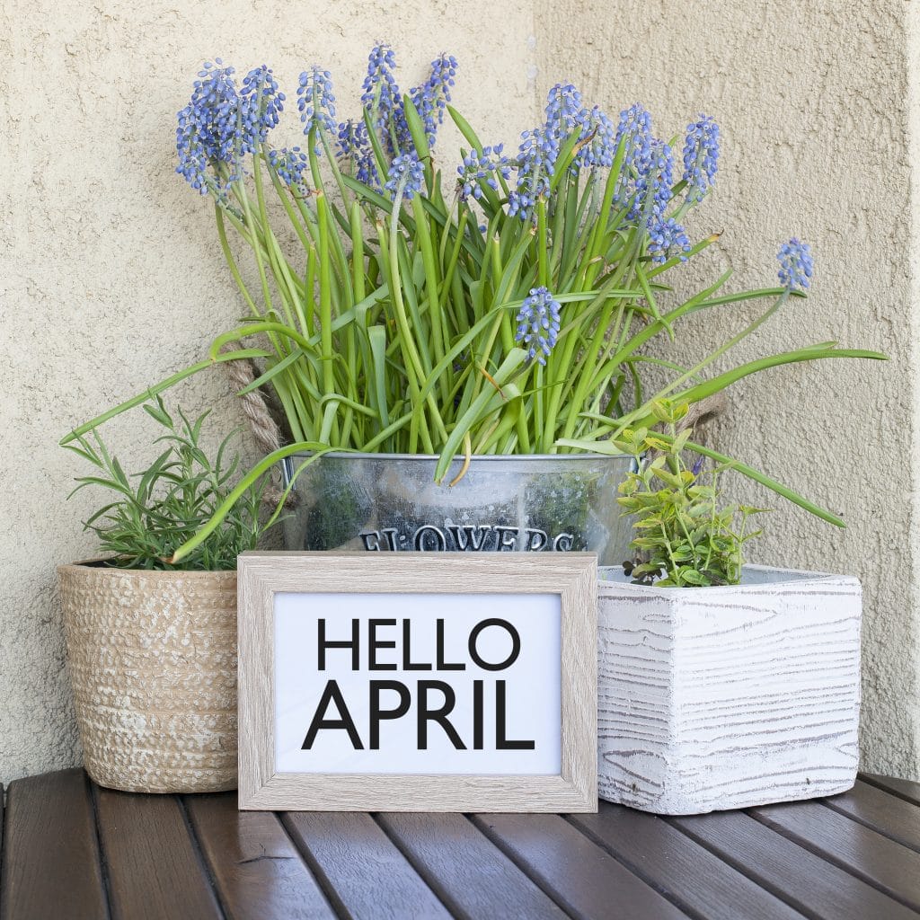 Hello April Open House Tours