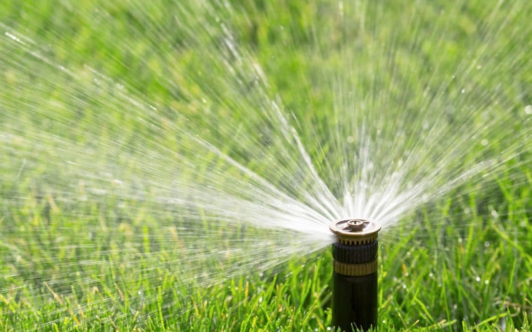 Tips for Reviving Your Lawn After Winter