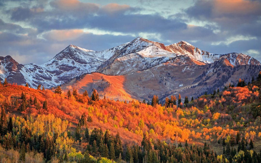 Fall In Love With Utah & Our Luxury Homes