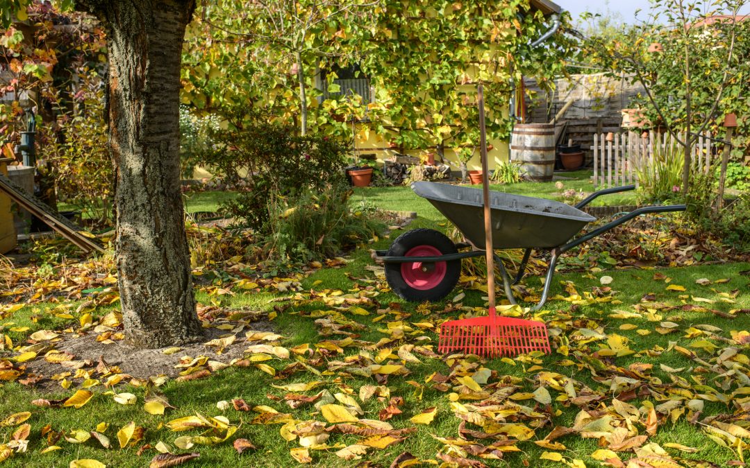 5 Tips for Prepping a Lawn for the Winter