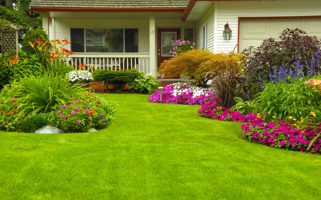 10 Surefire Ways to Boost Curb Appeal